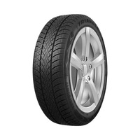215/55  R18  Triangle WinterX TW401 99V
